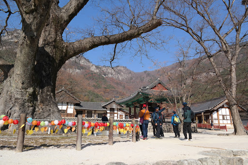 대전유성구여행 평범한 일상 솔직리뷰