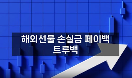 트루백: 해외선물미니업체의 혁신적인 금융 서비스로 안전한 투자 가능성을 높입니다