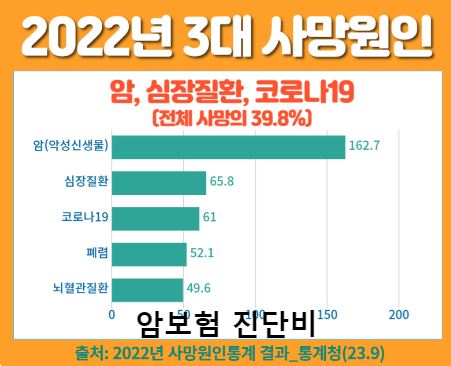 보험비교사이트 위즈인슈와 함께하는 보험 이해하기