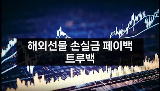 해외선물미니업체 트루백, 투자 성과를 극대화하는 전략적 파트너
