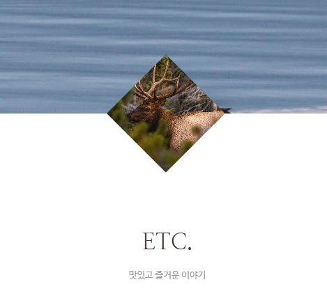 태상의 미니샵 바로가기로 알아보는 타운하우스 라이프의 매력